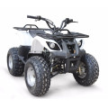 Mini atv wth EPA 110CC Madix-2 EPA